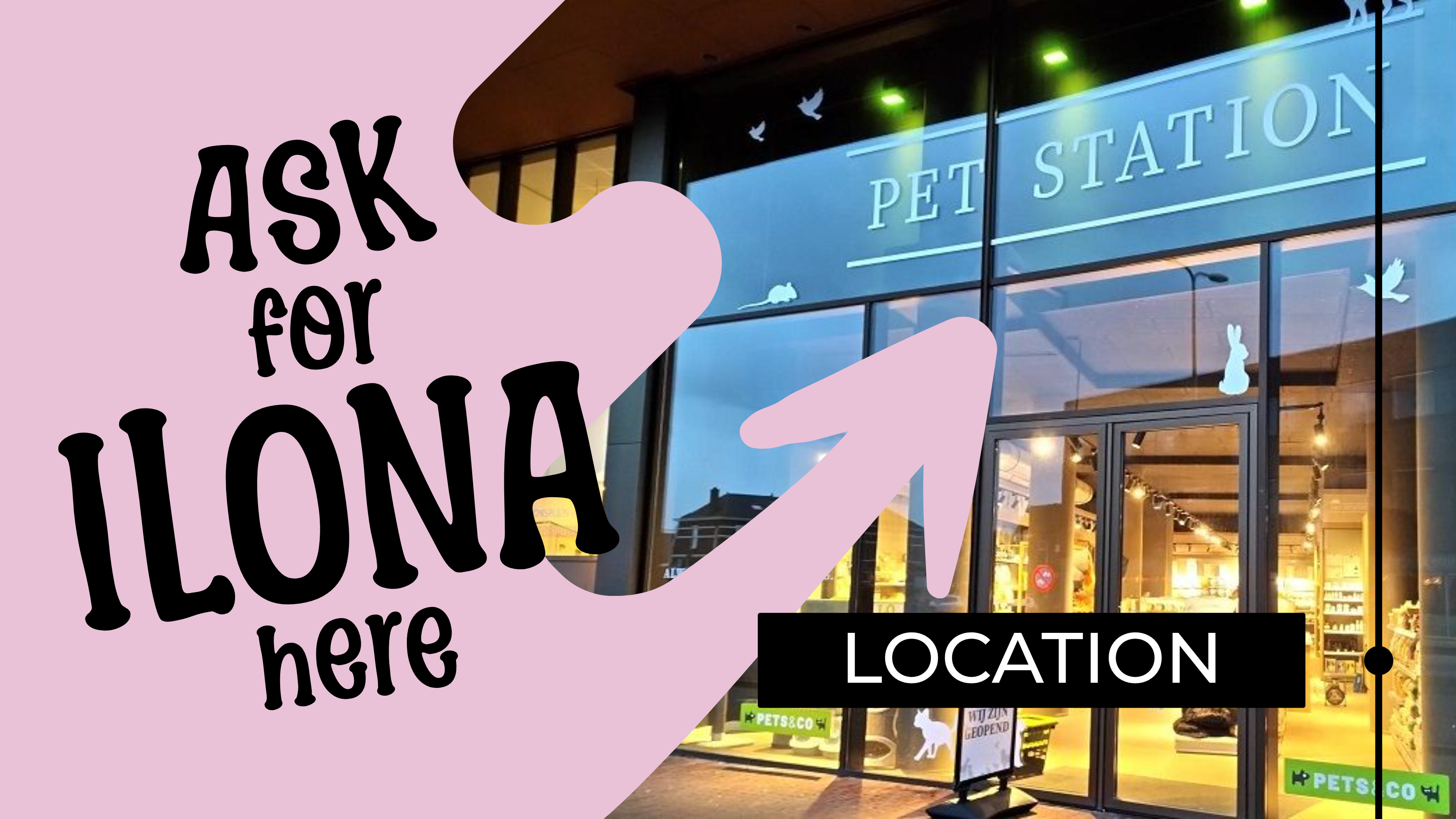 Just Groom Me – Trimsalon Alphen aan den Rijn | Professional dog grooming & personalized pet apparel.