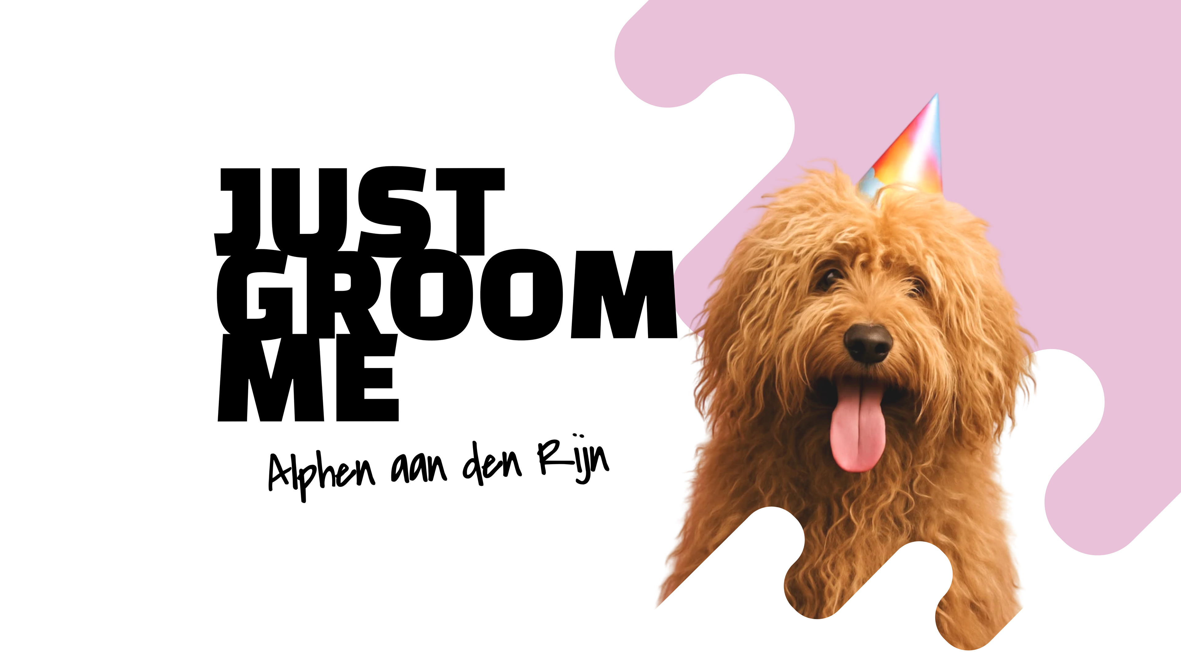 Dog with a birthday hat and 'Just Groom Me' text on a white background