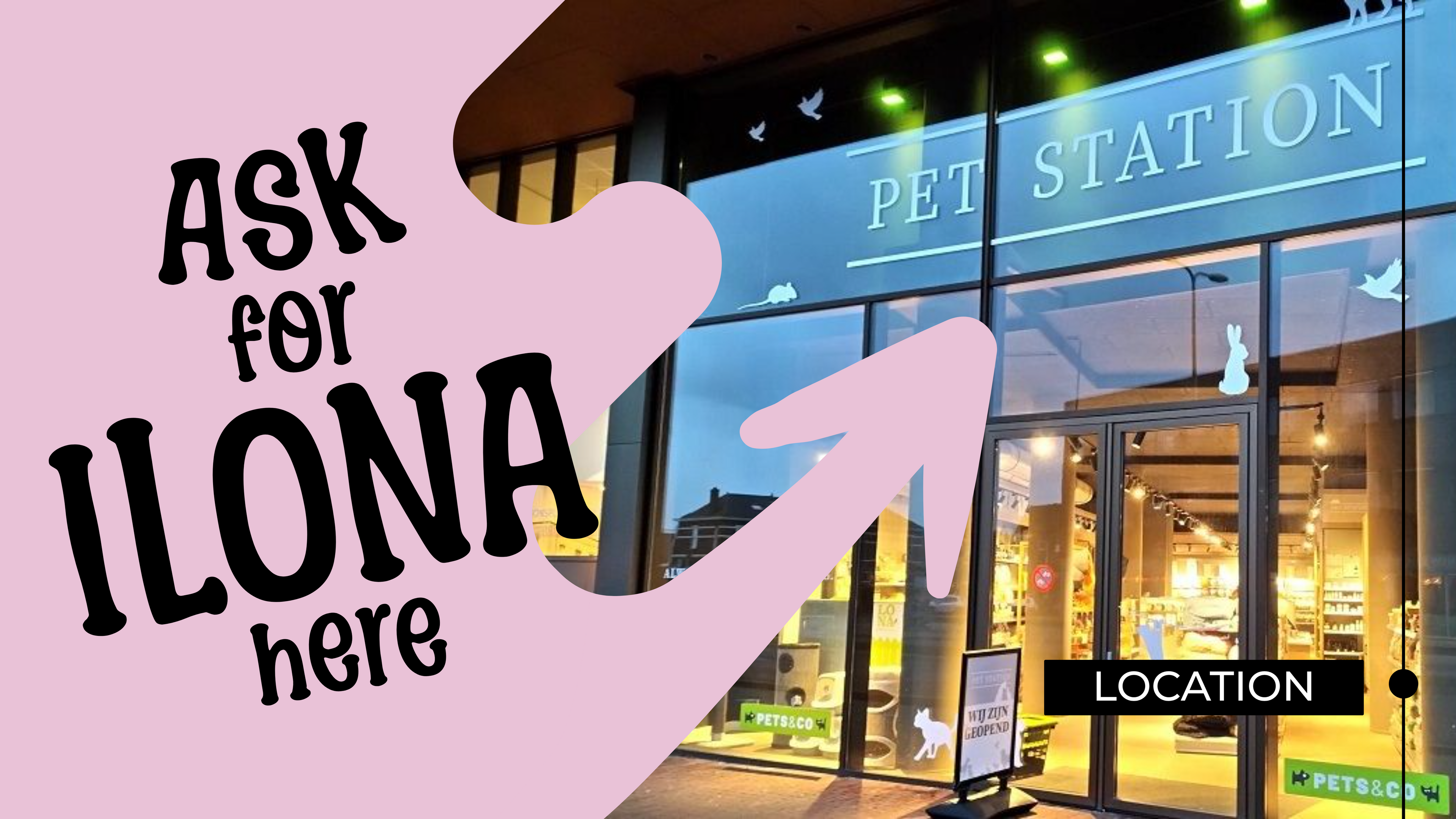 Just Groom Me – Trimsalon Alphen aan den Rijn | Professional dog grooming & personalized pet apparel.