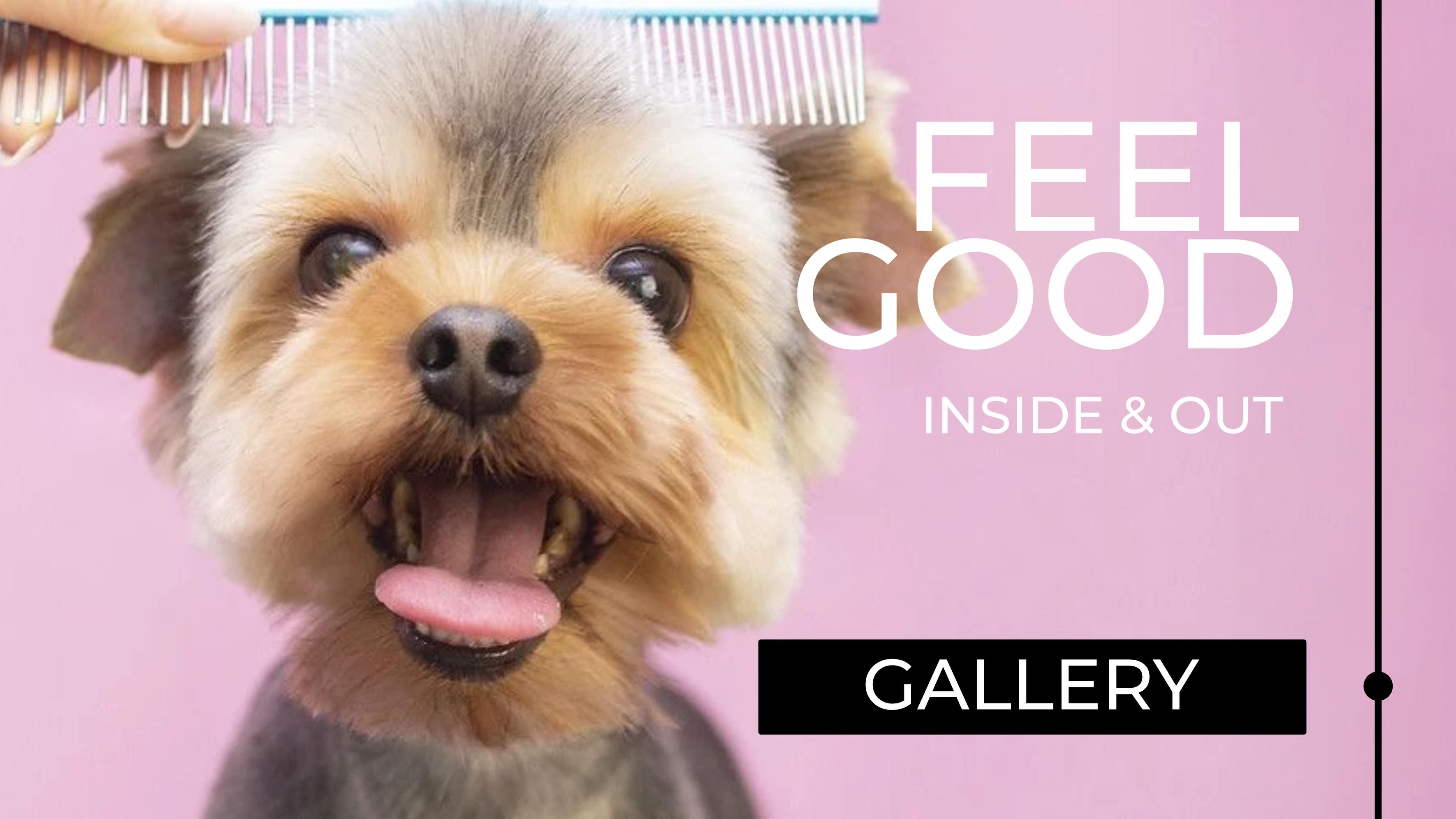 Dog with a comb on a pink background with 'Feel Good Inside & Out' text. Just Groom Me – Trimsalon Alphen aan den Rijn | Professional dog grooming & personalized pet apparel.