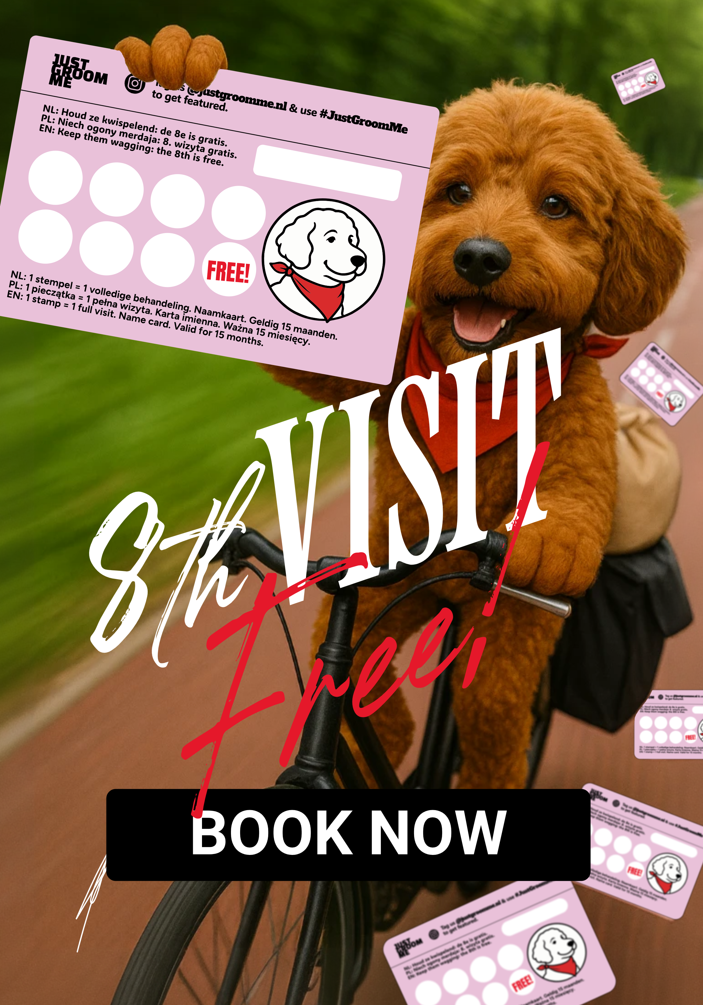 Just Groom Me – Trimsalon Alphen aan den Rijn | Professional dog grooming & personalized pet apparel.