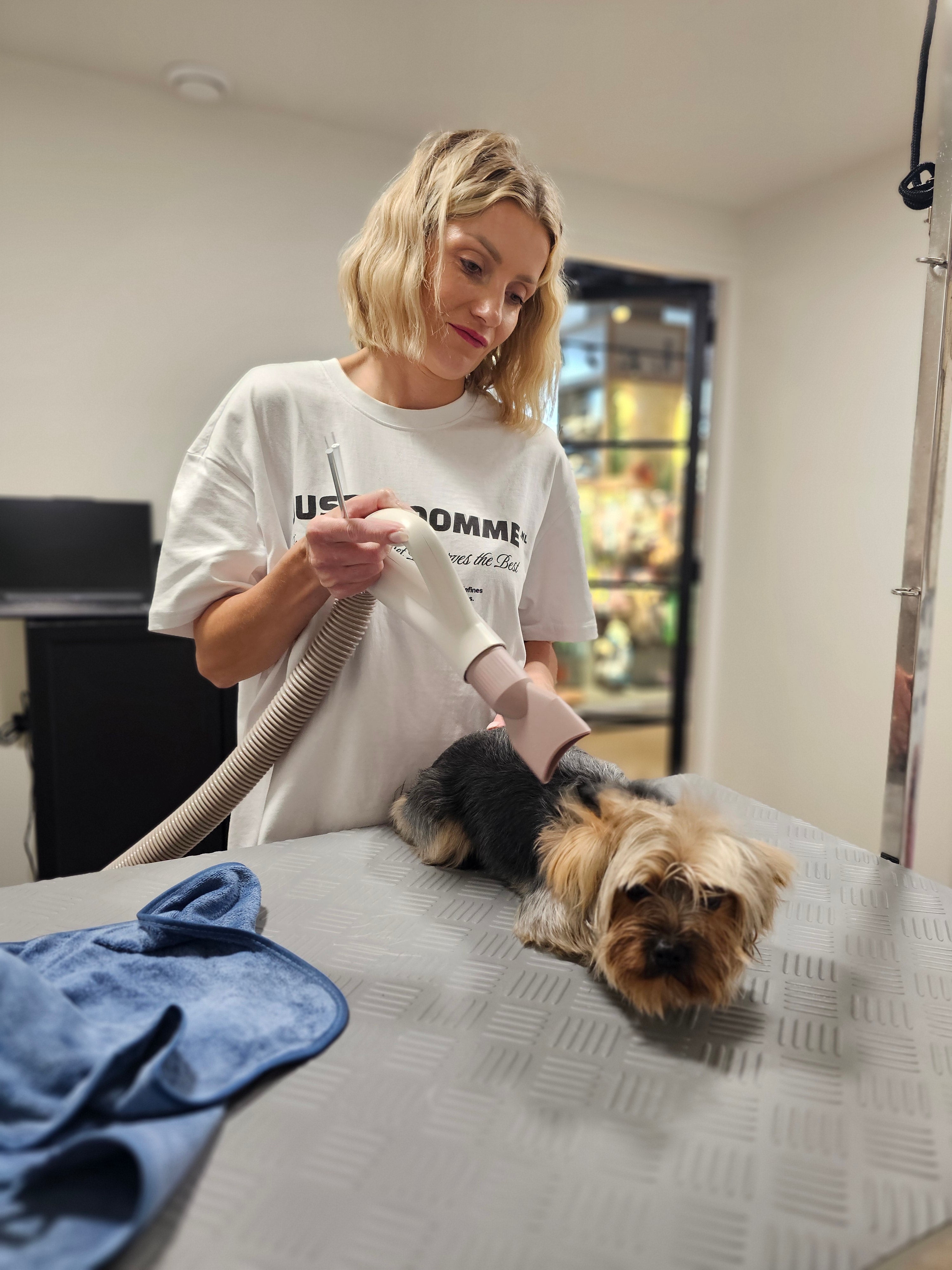 Ilona grooming a small dog with a vacuum cleaner on a table. Just Groom Me – Trimsalon Alphen aan den Rijn | Professional dog grooming & personalized pet apparel.