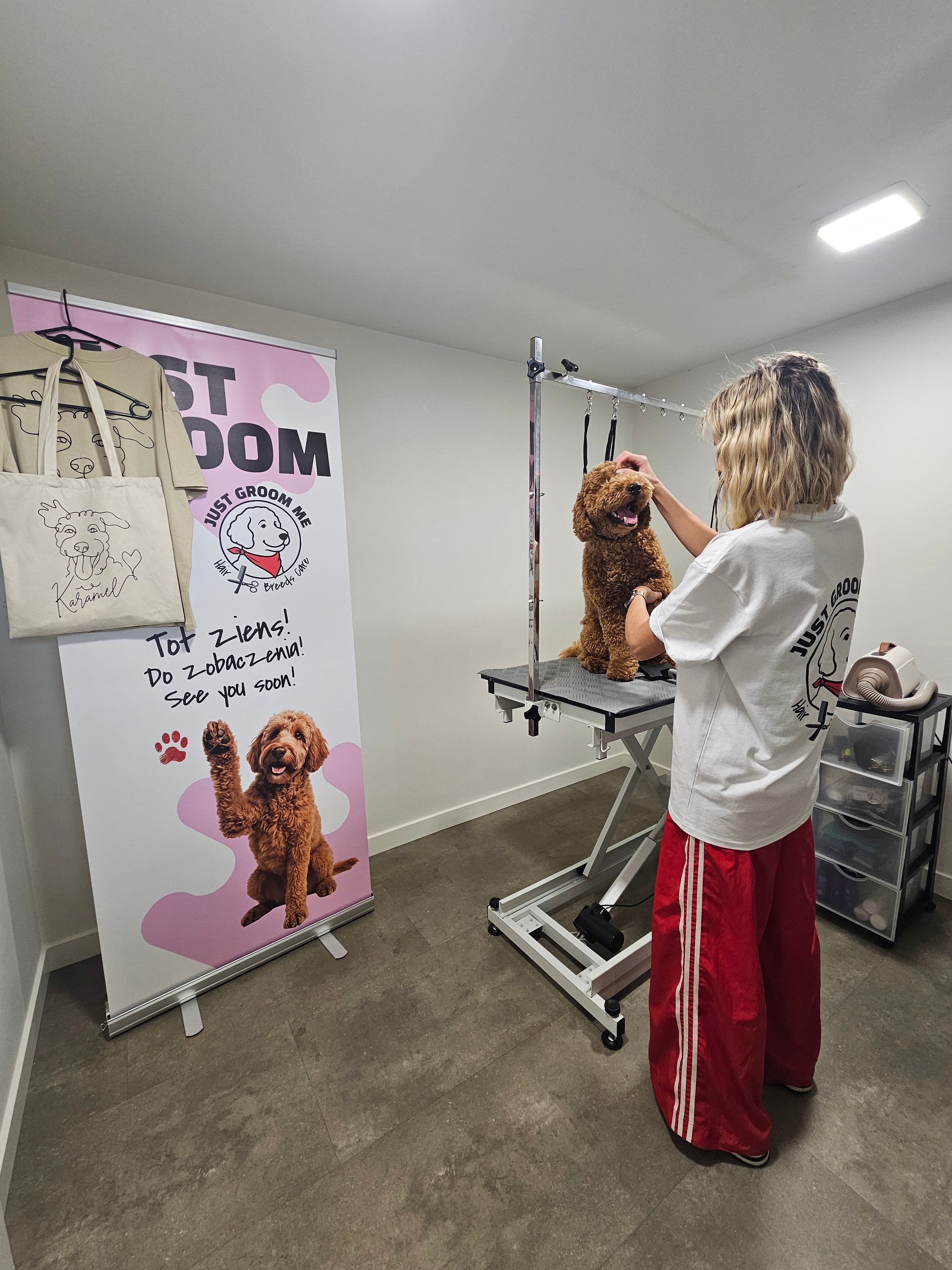 Ilona grooming a dog on a grooming table with a promotional poster in the foreground. Just Groom Me – Trimsalon Alphen aan den Rijn | Professional dog grooming & personalized pet apparel.